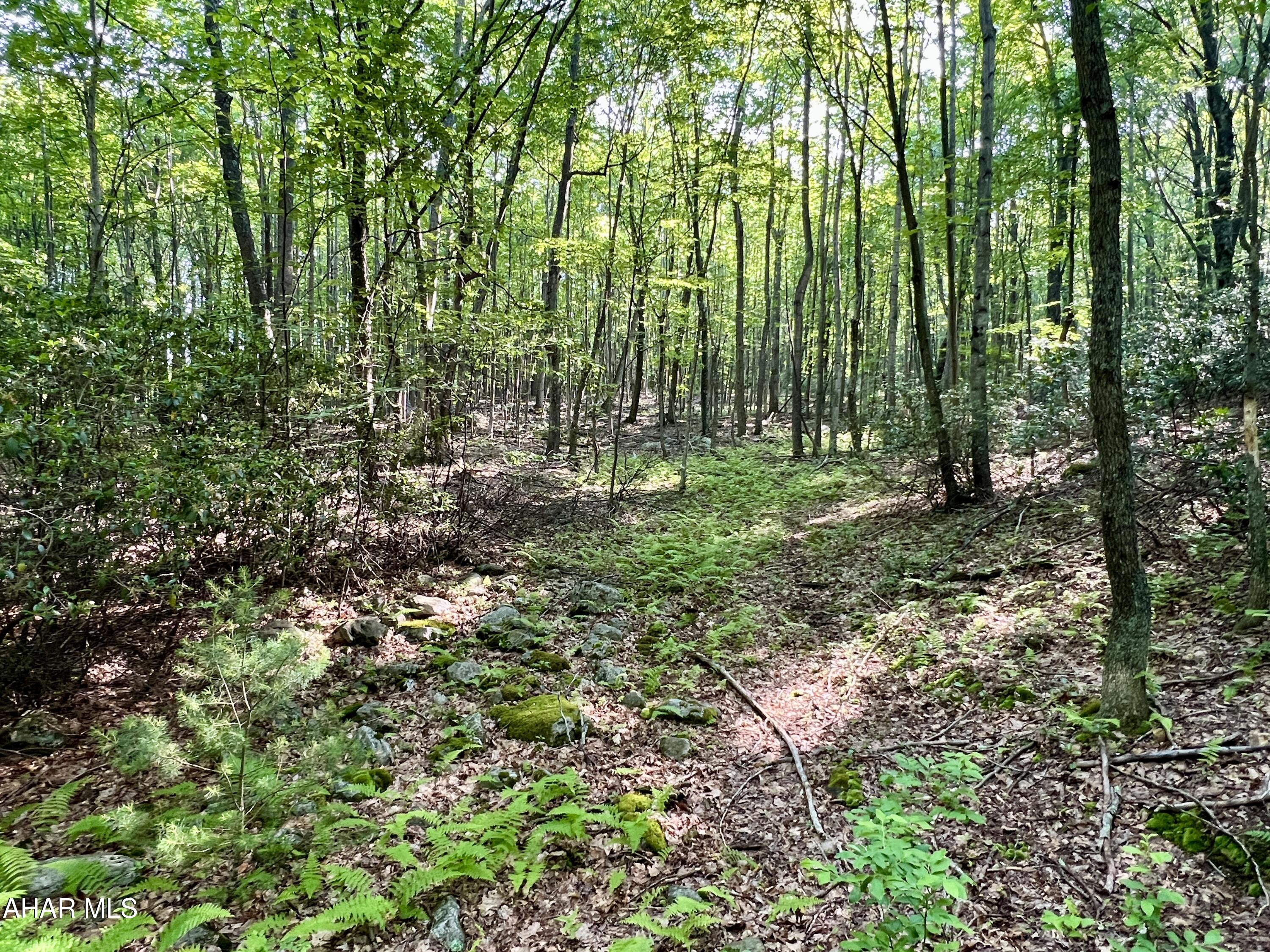 None - Commercial Sale