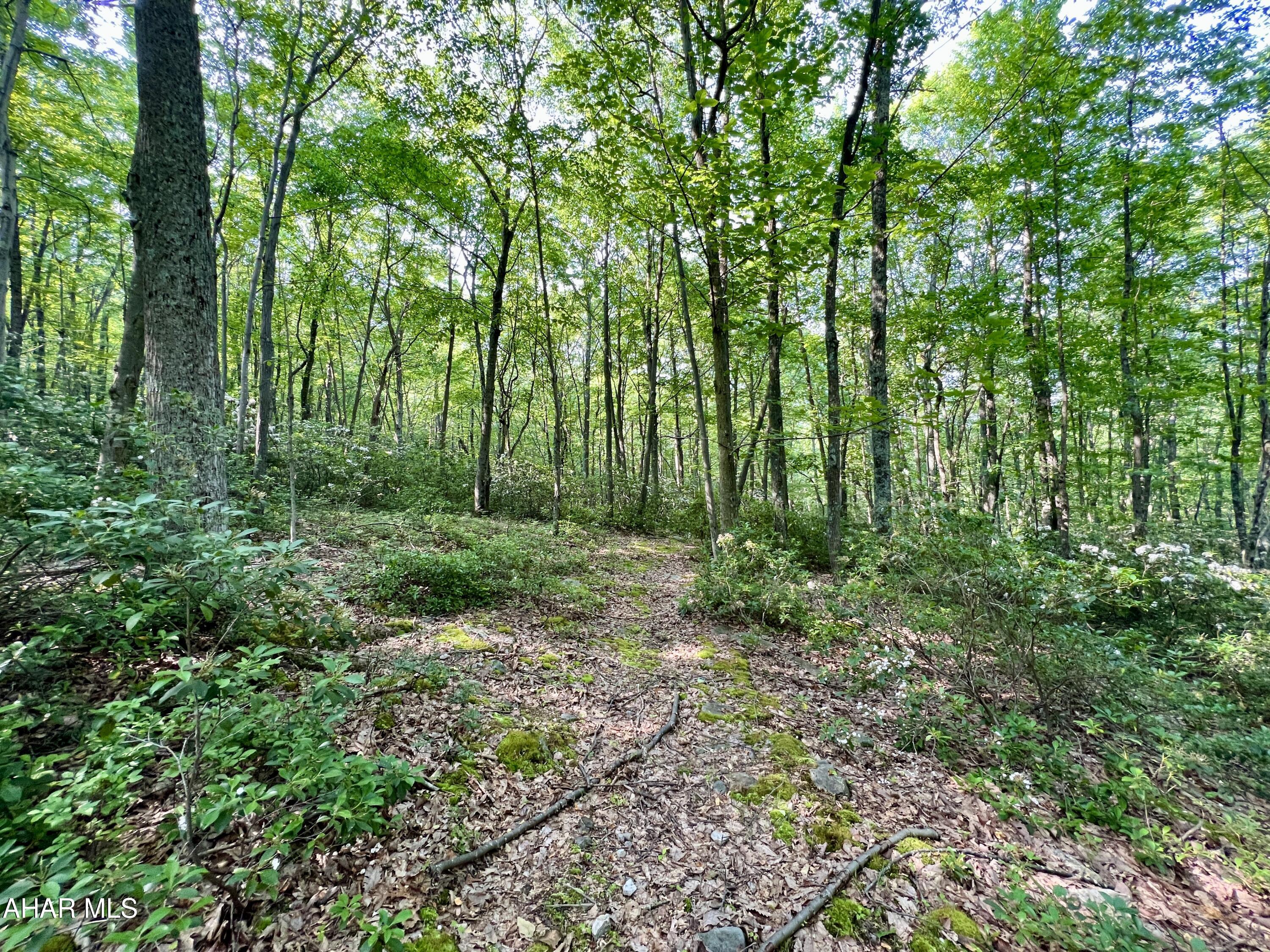 None - Commercial Sale