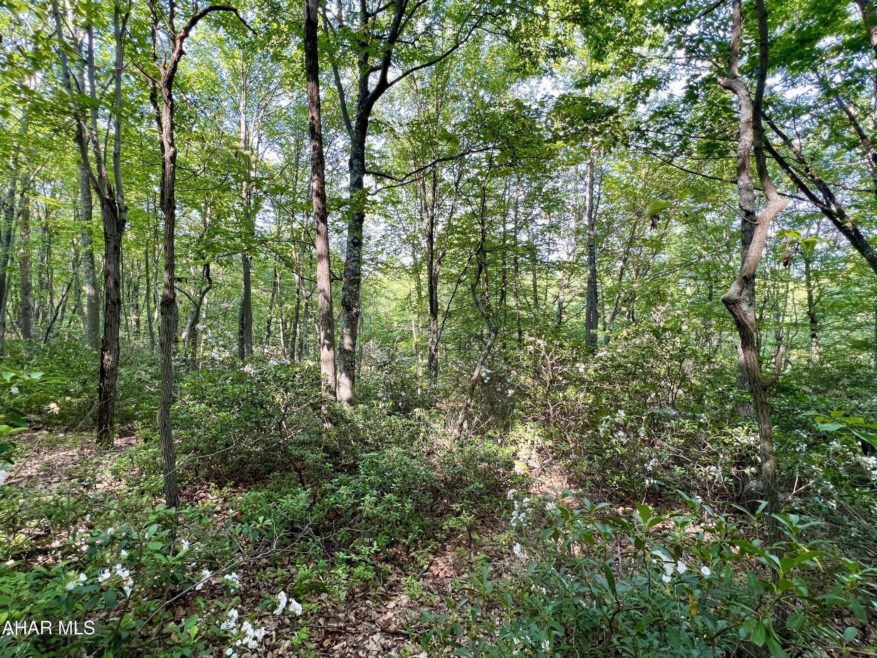 None - Commercial Sale