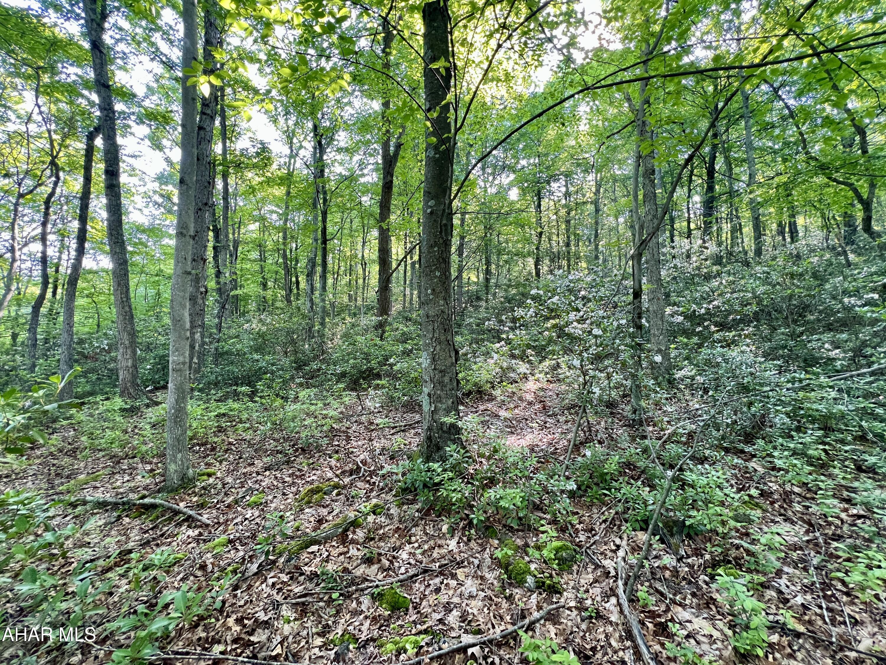 None - Commercial Sale