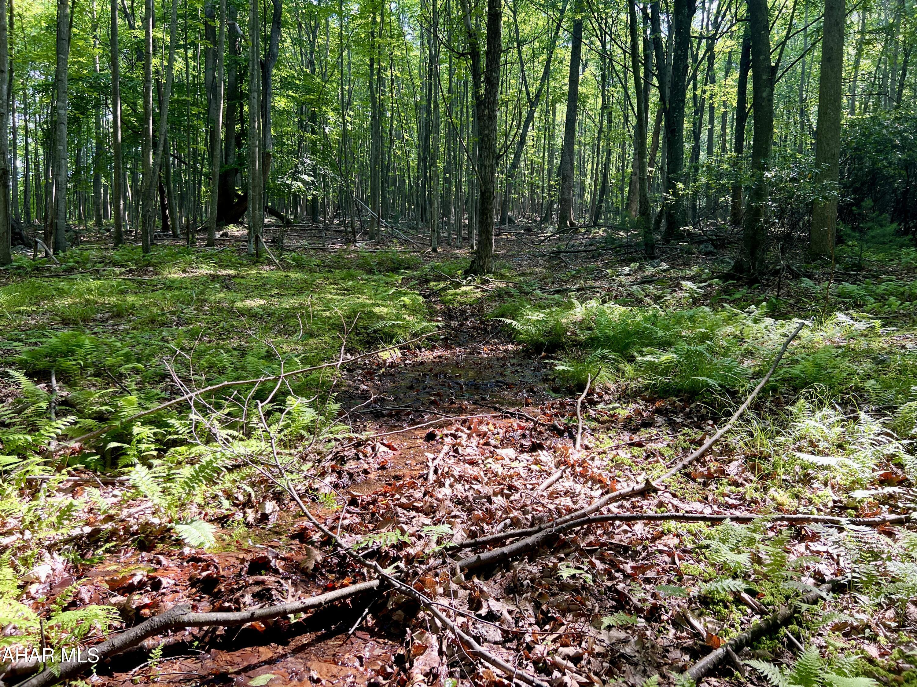 None - Commercial Sale