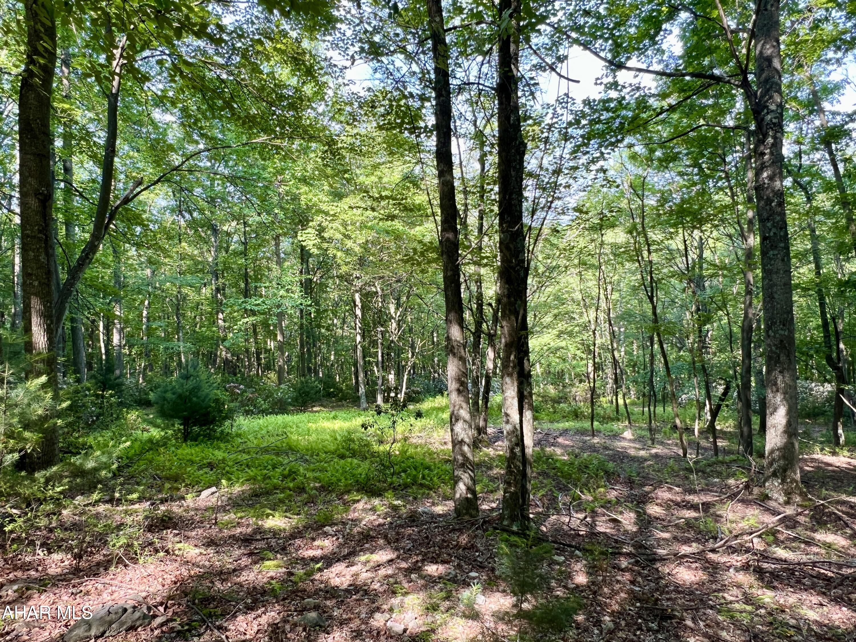 None - Commercial Sale