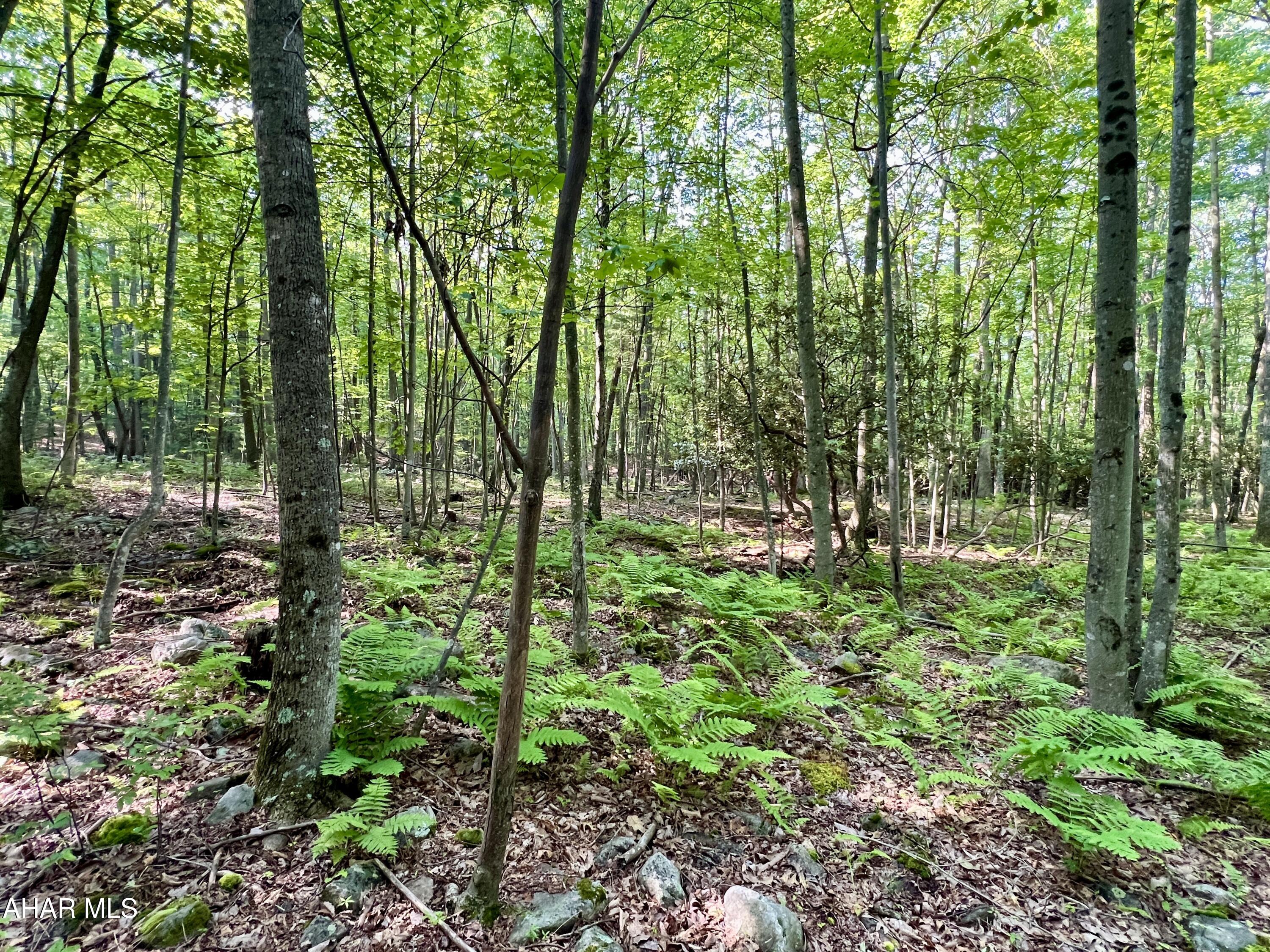 None - Commercial Sale