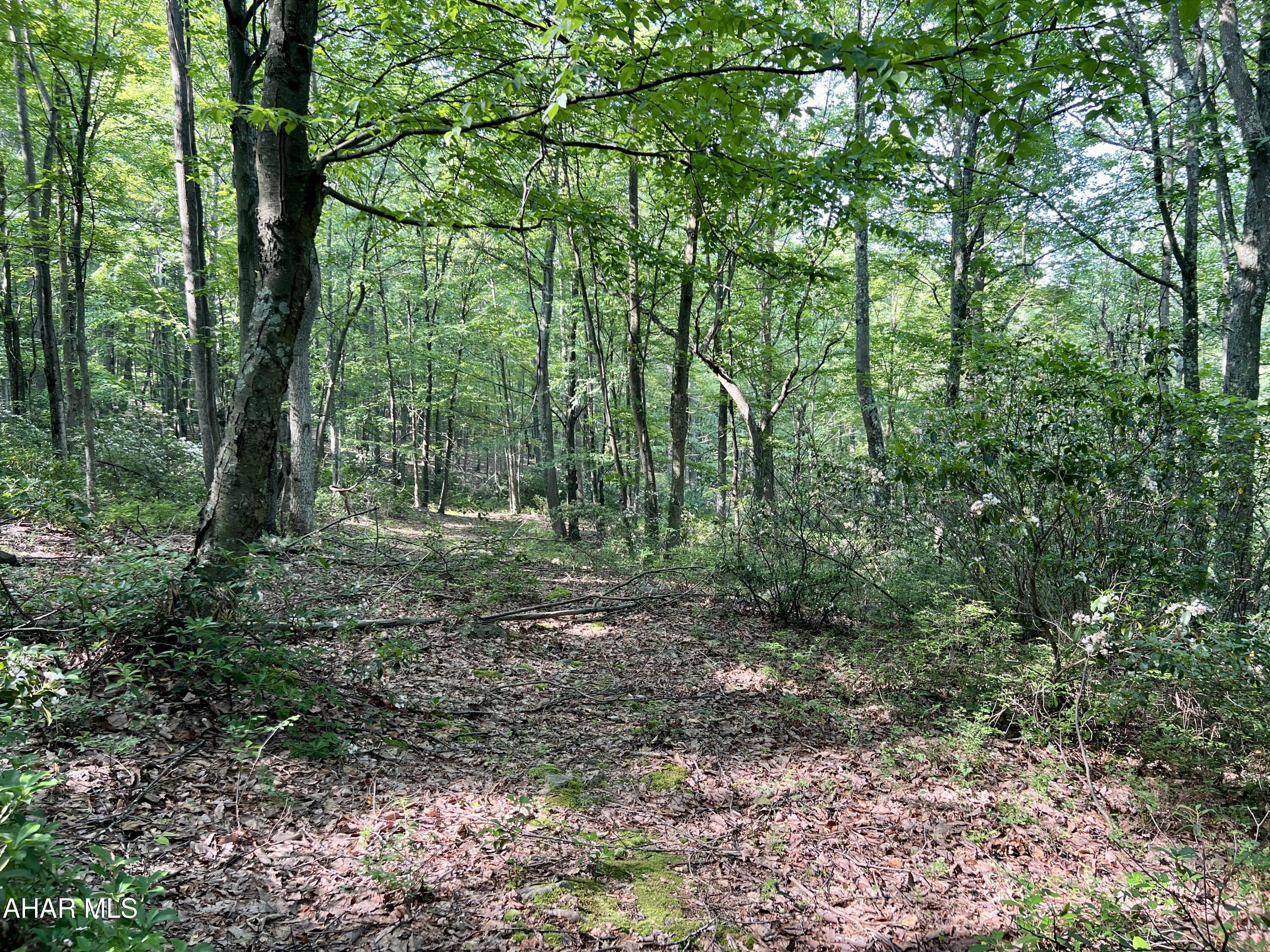 None - Commercial Sale