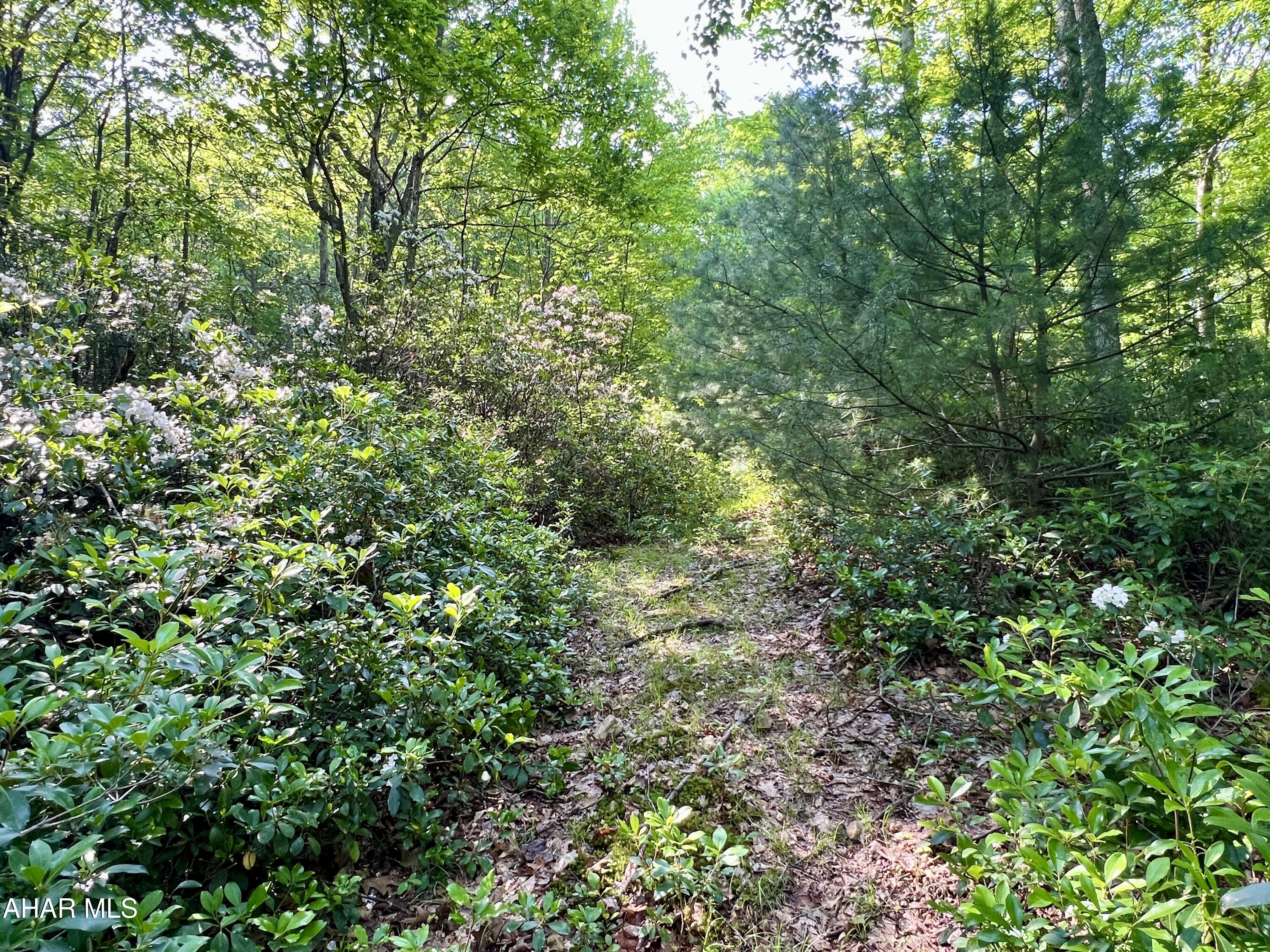 None - Commercial Sale