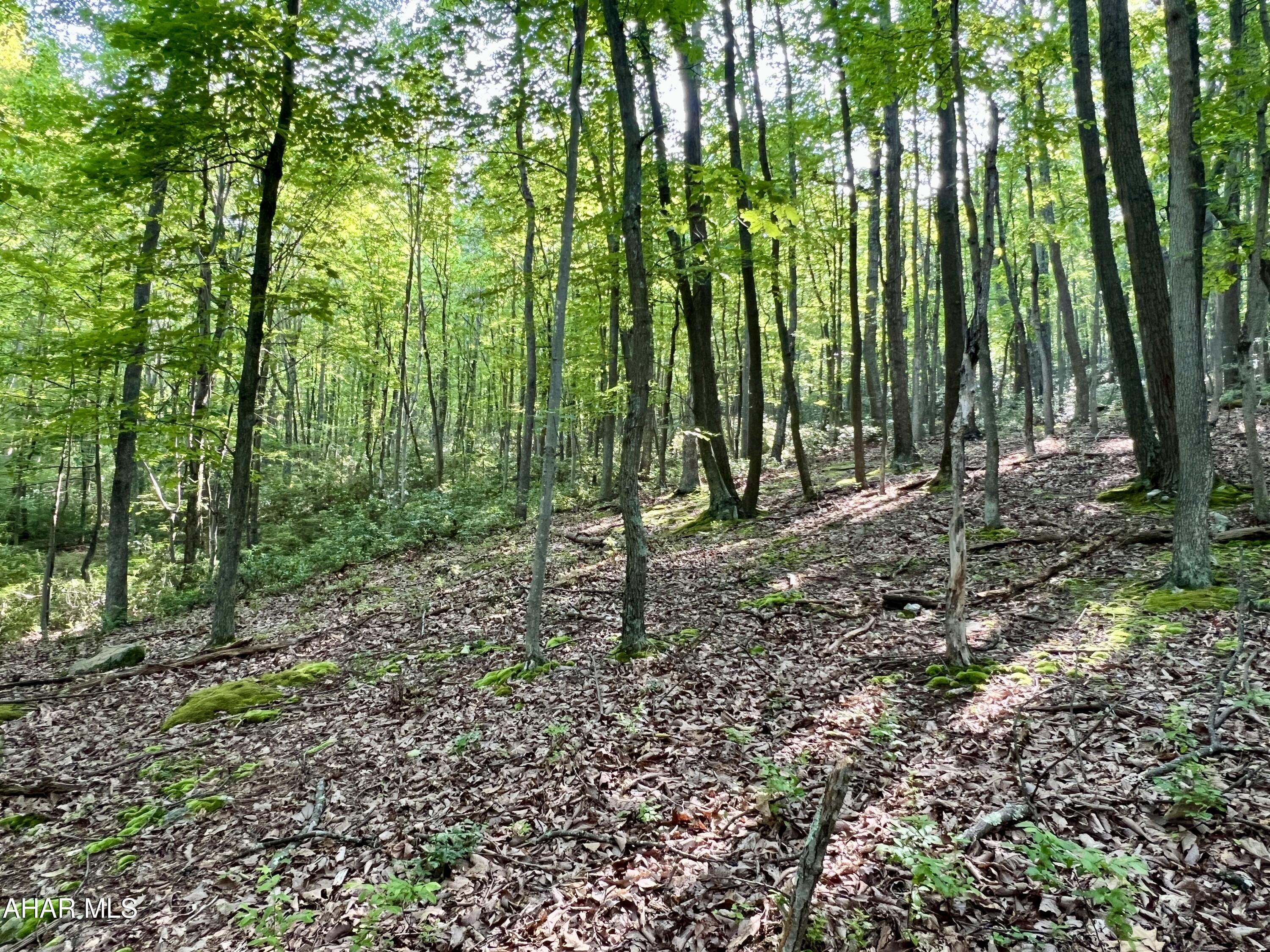 None - Commercial Sale