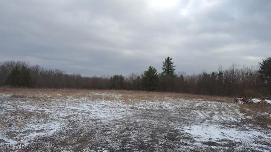 THIS IS A VERY INTERESTING PROPERTY WITH LOTS OF OPTIONS,9.8 ACRES  ZONED COMMERCIAL  WITH EXISTING GO CART TRACK AND OUTBUILDING, STORM WATER RETENTION POND IN PLACE AND HIGH CAPACITY WELL.  LARGE PARKING LOT ON TO LEVELS. THIS PROPERTY HOWEVER COULD HAVE MANY MANY DIFFERENT USE'S  ( STORAGE BUILDINGS, GREEN HOUSE LOCATION, MOBILE HOME PARK, ETC.)  DON'T MISS THIS MONEY MAKING OPERTUNITY.