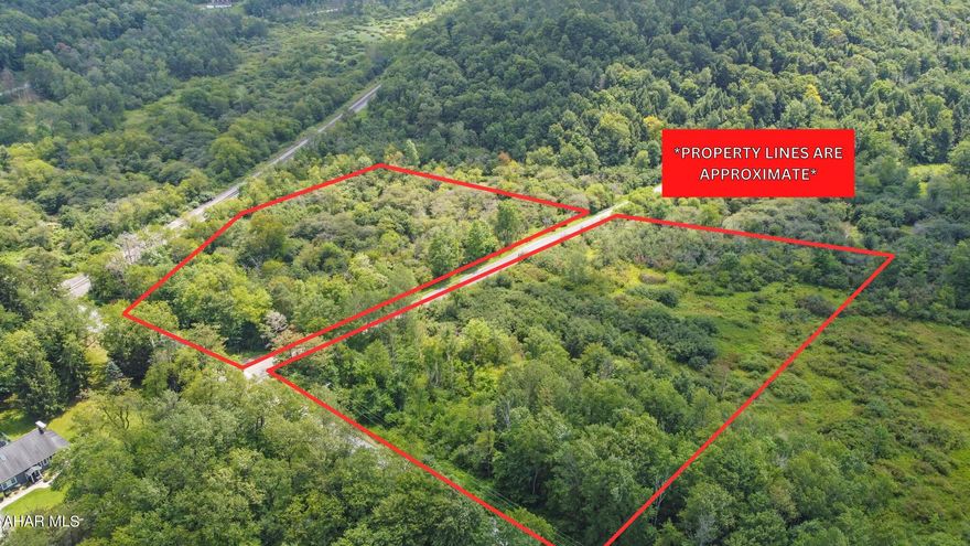 Don't miss this extraordinary chance to acquire a rare and highly sought-after land parcel, ideally located just off Lemon Drop Road within the esteemed Cambria Heights School Districts! Spanning approximately 9.6 acres, this remarkable property offers exceptional road frontage, enchanting tree coverage, and is positioned in one of the most coveted sections of Lemondrop Road. Adding to its allure, a serene and gently flowing creek graces the back section of the parcel, enhancing the natural beauty of the land. Campbell Road divides the property, with the majority of the acreage situated to the right of Campbell Road. An additional advantage of this property is its proximity to the Lemon Drop Lounge & Golf Course, allowing for convenient access to leisure and recreational activities. For any inquiries or to schedule a showing, please don't hesitate to contact the dedicated listing agent, who will be delighted to assist you further.