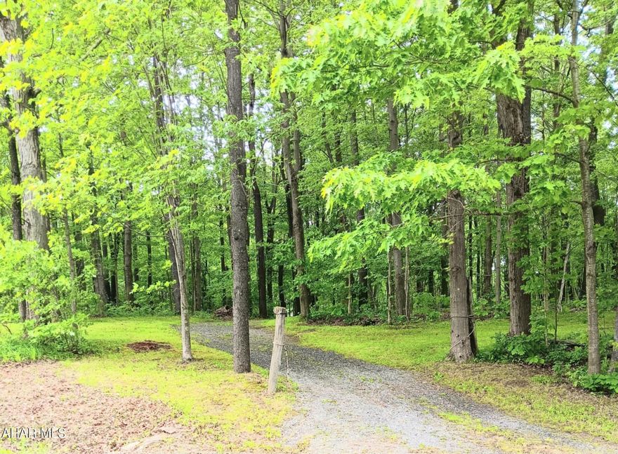 Discover the charm of this picturesque 5-acre property nestled in Allegheny Township, just outside of Loretto. Whether you're dreaming of a peaceful campsite or a future homesite, this versatile parcel has a lot to offer.

Enjoy the outdoors with a pavilion and shed already on site—perfect for weekend getaways or gatherings. The land is mostly level and features mature timber, providing both beauty and privacy. A private access road is in place, and there is potential access to utilities, adding convenience for future development.

Recently passing a PERC test, this property is well-positioned for a possible homesite, making it an excellent candidate for your dream home or cabin in the woods.

Don't miss out on this unique opportunity—call today for more details!