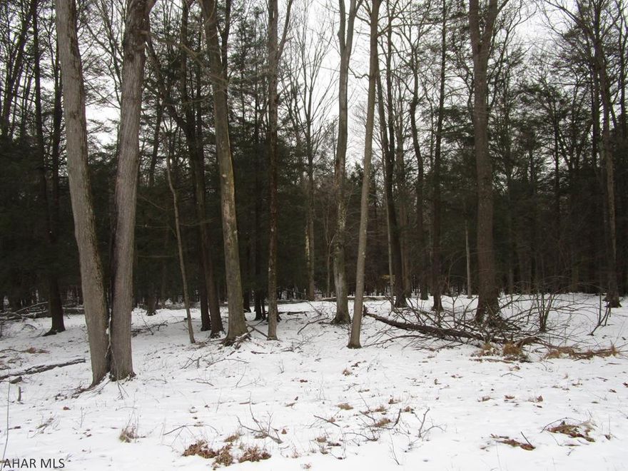 Gorgeous private wooded area for your new home or getaway.  Spacious lot in a country setting but set in a private, gated community that offers recreational amenities.  City water and sewer so no sand mound or well needed.  Development is adjacent to Prince Gallitzin State Park / Glendale Lake for your outdoor enjoyment.   Property Owners Association dues are $555.24 Annually.  This includes security, trash, road maintenance and maintenance of recreational facilities such as the club house, swimming pool, dog park, playgrounds, pavilions, tennis/basketball/volleyball courts, etc.