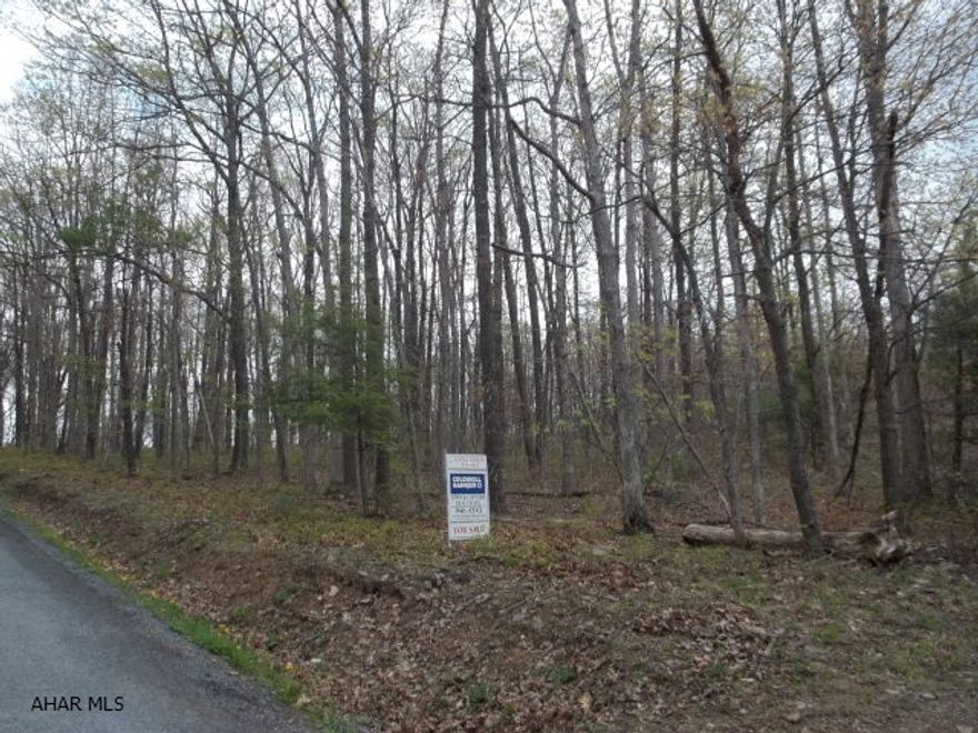 Beautifully wooded almost 7 acres.Preliminary sub division for 6 lots.Past perk on 4 lots - all passed for conventional septic.