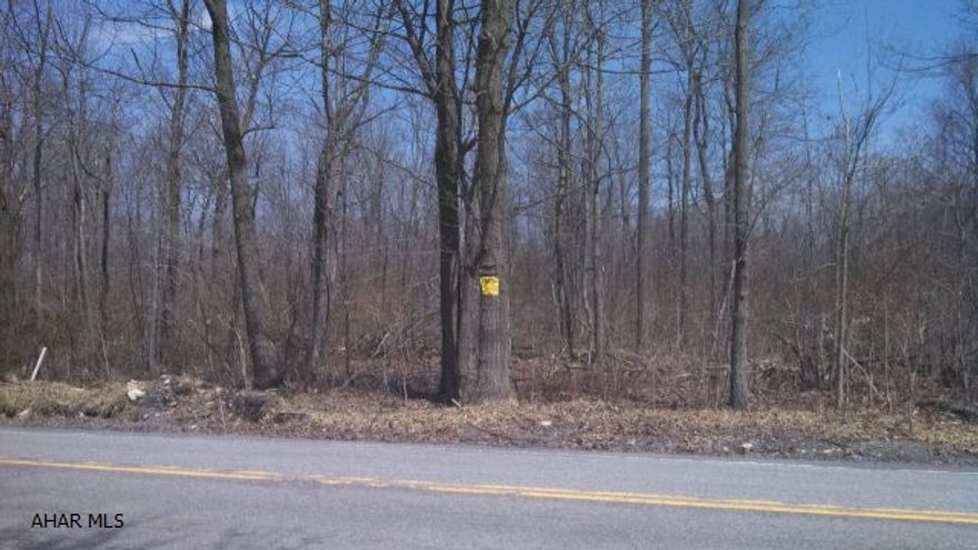 Here's something you don't see everyday...over 5 acres in Logan Township...zoned Agricultural. This level, wooded property has been select cut and borders State Game Lands. Great road frontage. Well on property. The property did pass a perk test. It needs a sand-mound septic.
