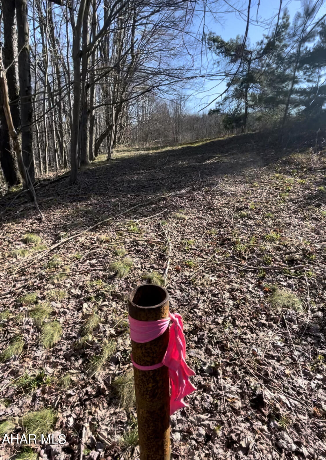 None - Commercial Sale