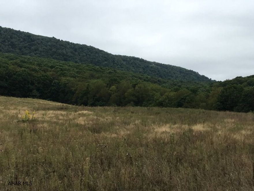 Banked Barn is in fair condition and several other out buildings. Open rolling fields and views. The property has a very old single wide trailer but not in use. There is a 3 room cabin that needs TLC.  The property is being sold AS IS. It has been recently appraised in its current condition. There is a mountain stream and a spring on the property.