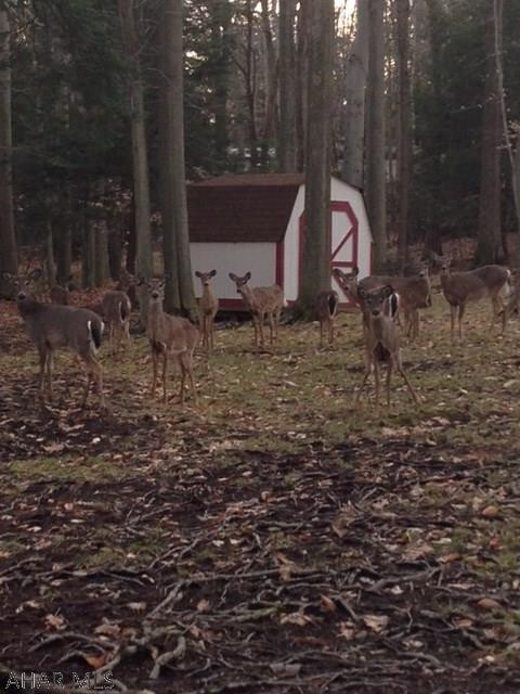 Glendale Yearound - Residential