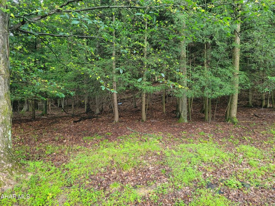 Over one acre of wooded land to build your new home or cabin.    Located in Glendale Yearound, a gated community adjacent to Prince Gallitzin State Park / Glendale Lake.