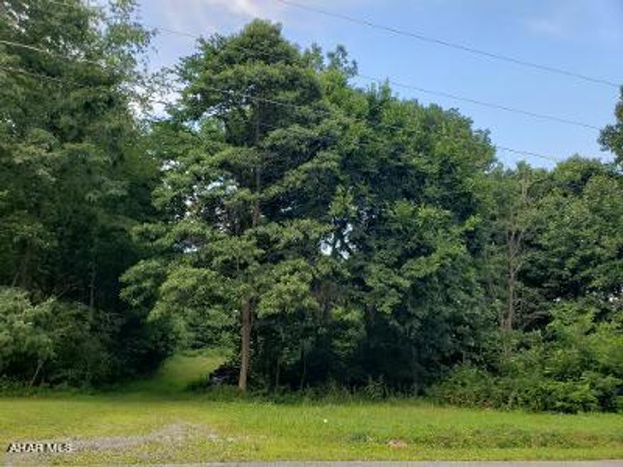 Beautiful 1.6 Acre building lot within minutes of Raystown Lake. Established neighborhood in a quiet wooded setting, perk test & survey completed. J-593