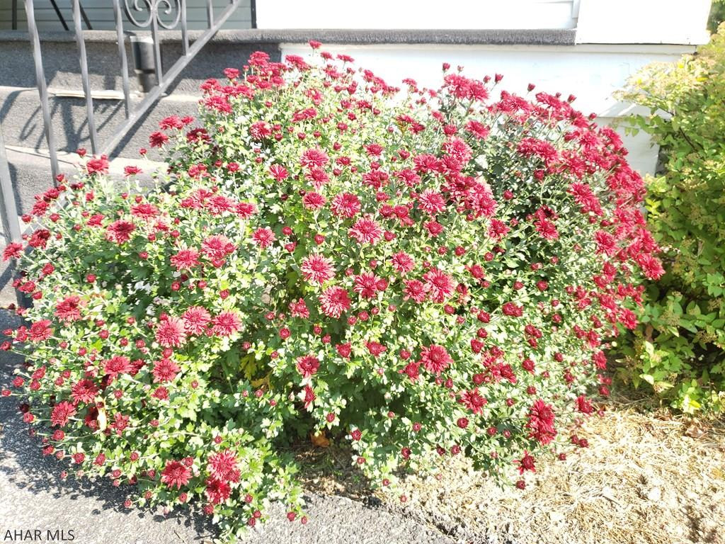 Toy Town - Residential