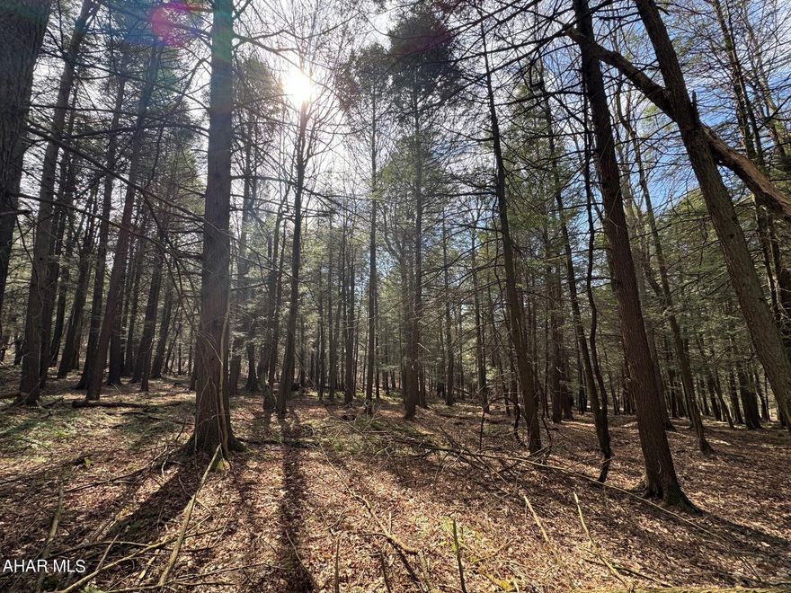 This beautiful and scenic wooded land parcel rests in the Laurel Highlands of southern Pennsylvania and contains 143.82 acres. Mature trees, springs, a stream and picturesque wooded views make this the perfect site for your new home or cabin. Hike, hunt, camp, ATV, watch wildlife or just relax and enjoy what nature has to offer. Over one half mile of public road frontage and electric is at the road. Although rural and peaceful, major roads are within easy access and just a short drive to Pittsburgh, Deep Creek Lake MD, Morgantown WV, Omni Bedford Springs Resort, Nemacolin, Seven Springs and Hidden Valley. All coal, oil, gas and mineral rights owned by seller will convey in the sale.