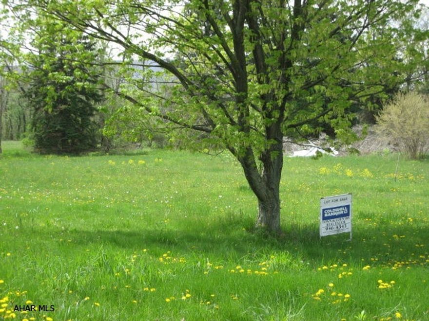 the property is located in a flood zone. buyer would need a elevation study from a engineer. Buyer will need  approval from Allegheny Township to tap onto the water & sewer system.