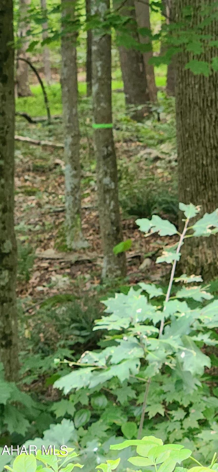 Beautiful 15 acres in Bedford County.  Close to MD, PA Turnpike, and the Bedford Omni Springs.  Build your beautiful home on this peaceful parcel of land.  Convenient location but far enough away to enjoy peace and quiet.