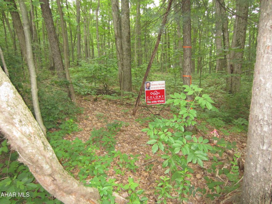 Two vacant lots to be sold together as one. Total is 1.84 acres. Lots have standing timber and the terrain is sloped. Ridge View Lane is a private lane maintained by the property owners. These lots are not perked for septic, but sellers would accept an offer for lots contingent on septic approval. A well would need drilled and electric is available supplied by Valley Rural Electric. Deed restrictions do apply. Really nice country living in quiet location. Lot size and taxes to be verified by the buyers.