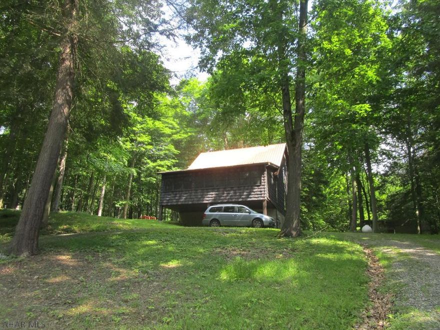 Quality constructed 1.5 story home on 2.19 wooded acres. This home has been used as a second home and features vinyl shake siding, newer metal roof, oak kitchen, large living/dining room with vaulted ceiling, 1st floor bedroom with bath, Florida room with nice view of the wildlife and half bath. The second floor has a large loft area with pull out bed and vaulted ceiling and balcony type view of the living room. Full basement with one car garage door. Propane fa and elect heat pump. Auto generator.  2 sheds. Private setting. Great house for the $$.