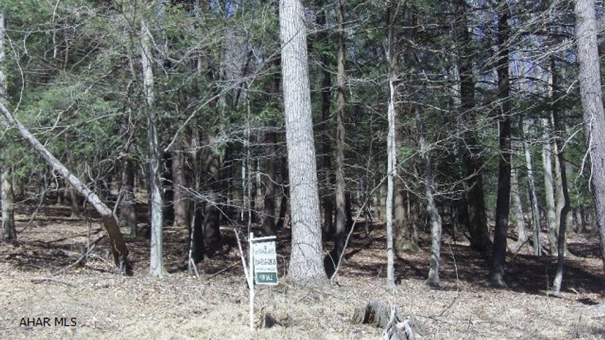 Nice wooded lot for building your dream home.  Located not far from the community pool and sports courts but off the main road.  In Glendale Yearound, gated community adjacent to Prince Gallitzin State Park, Glendale Lake and all things outdoors.  Come live the good life and enjoy seeing wildlife out your windows.  Only 25 miles from Altoona.