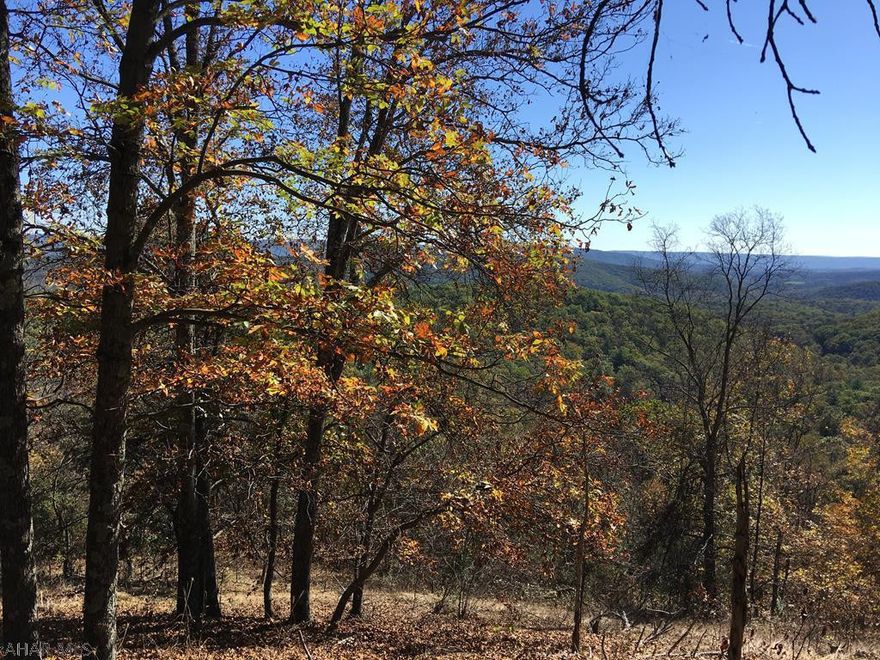 A Hunter's Paradise with beautiful mountain views on approx. 192 +/- acres and borders PA Dept . of Forest and Waters. Abundance of wildlife, deer, bear and turkey.   Build your get-away cabin and enjoy the breath taking views of the mountains that surround you!  Three natural springs on the property. Mostly wooded with mature trees, was timbered in the late 90's.  There are 2 gas storage wells on the property, the 1 well is no good due to water in it the 2nd well is good, nets $500 a year transmission pay from Trans Canada Gas Co.