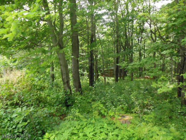 Carson Valley - Residential