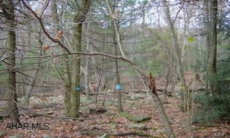183 wooded acres currently being timbered of all timber and trees 12 inches and larger.  Acreage is near state game lands above Rebersburg Deeded access to game lands..  Great recreational land for hunting, hiking or camping. This property is located approx. 30 miles NE of State College.  Take PA 192 to Rebersburg, turn onto 880 N at top of hill, turn onto Charcoal Lane, property line approx. 1 mile.  Call for details and information.  Possibility of 220 additional acres border this tract and state game lands.  Located in Penns Valley School District.  Timber rights reserved until Oct. 15, 2009. Gas and oil rights do NOT transfer.