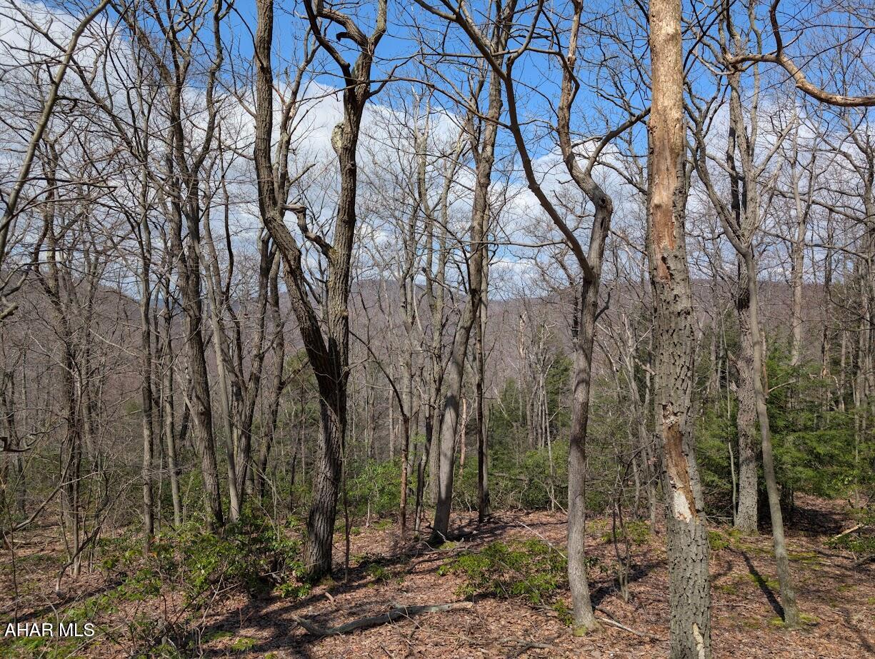 Blue Knob - Commercial Sale