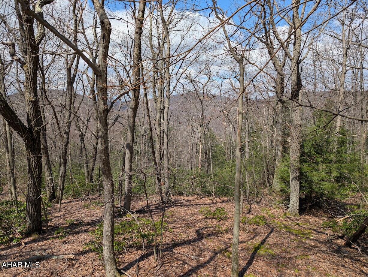 Blue Knob - Commercial Sale