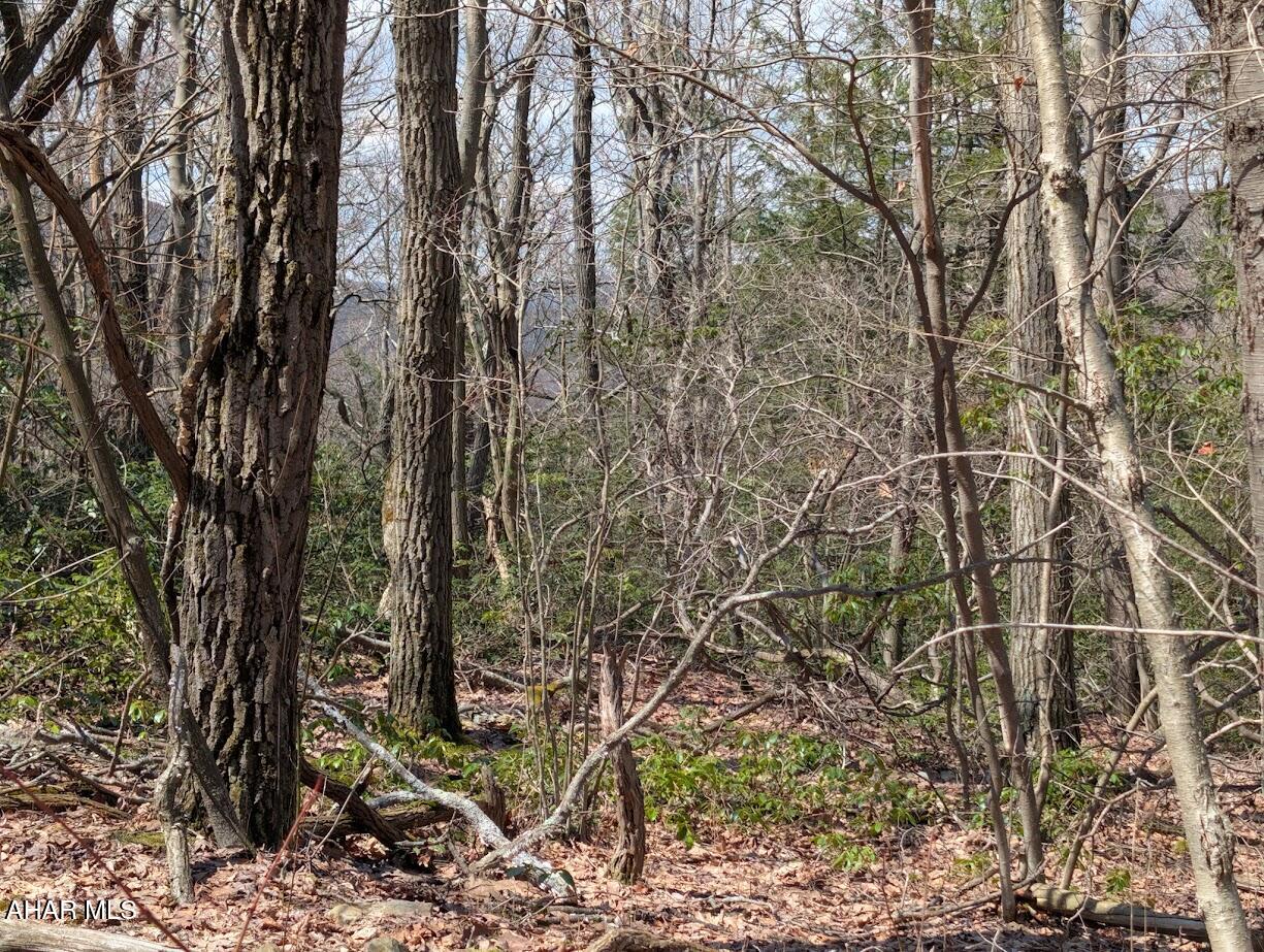 Blue Knob - Commercial Sale