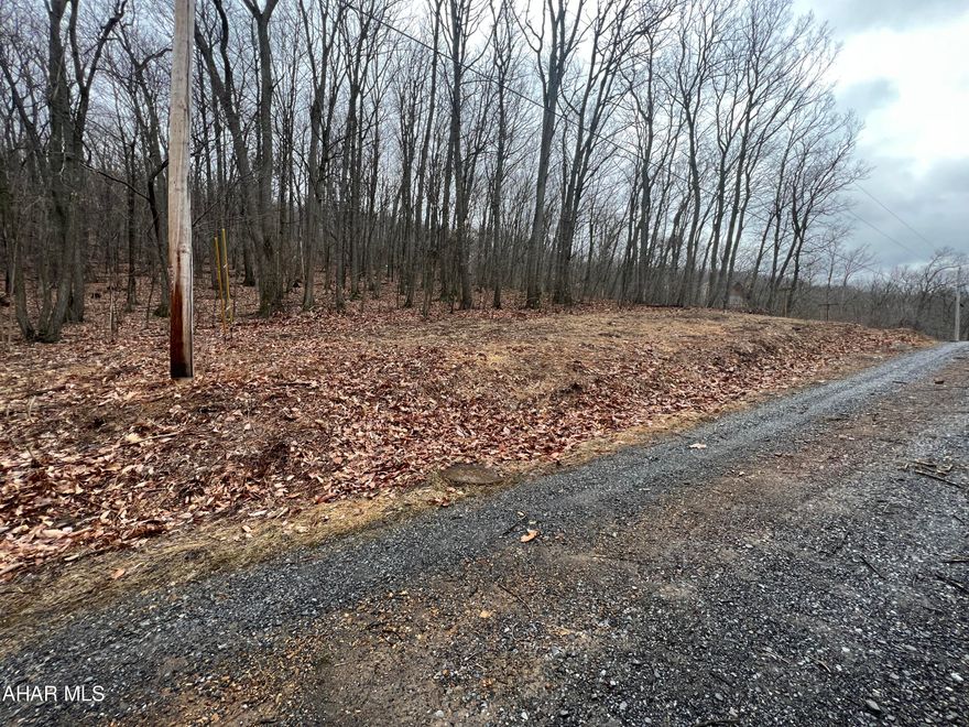 Nice building lot with a private setting located minutes away from Shy Beaver Boat Launch at Raystown Lake. Sewage and electricity available at the street.