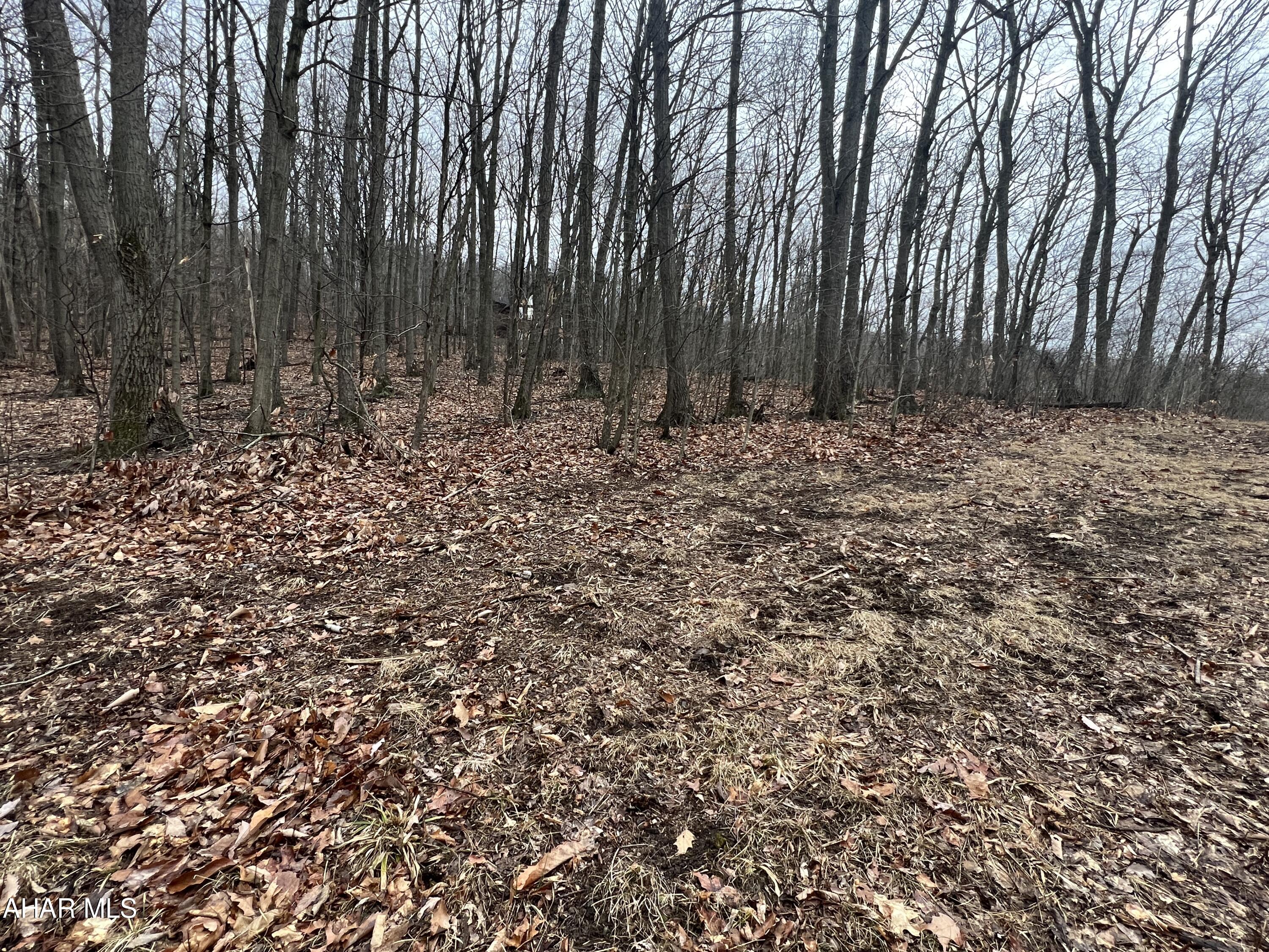 None - Commercial Sale