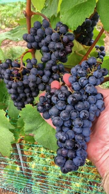 Unknown - Commercial Sale