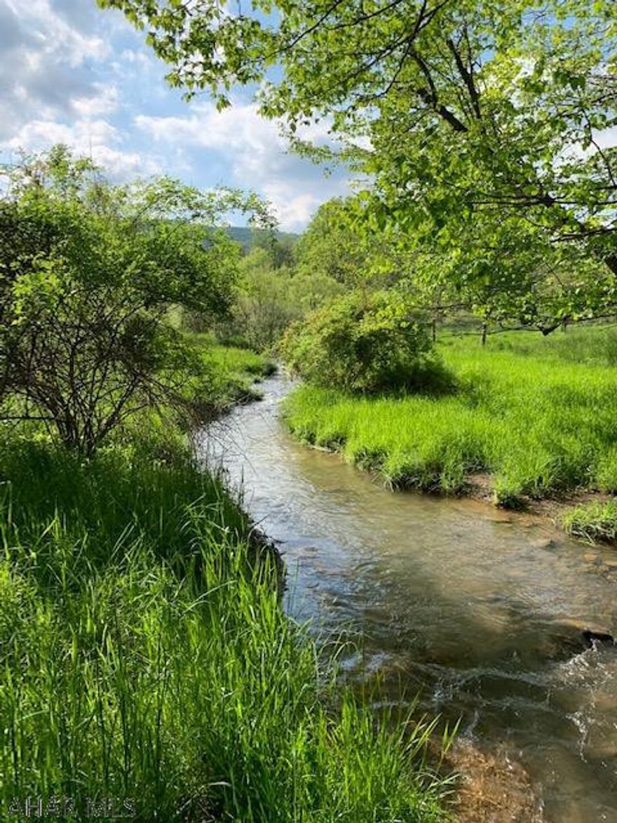 The beauty of the vistas and serenity that this property offers is definitively one of the highest selling points of this property. The location and proximity to State Game Lands comes in close runner up. The clear mountain spring is an added bonus! This is an extremely beautiful location in the mountains. There is abundant wildlife and outdoor activities in this entire area. If you are looking for a terrific place to build, you have found it. The trailer is being used for recreational and weekend getaways. Electric is on the property, a perk test has been done and a septic plan available.