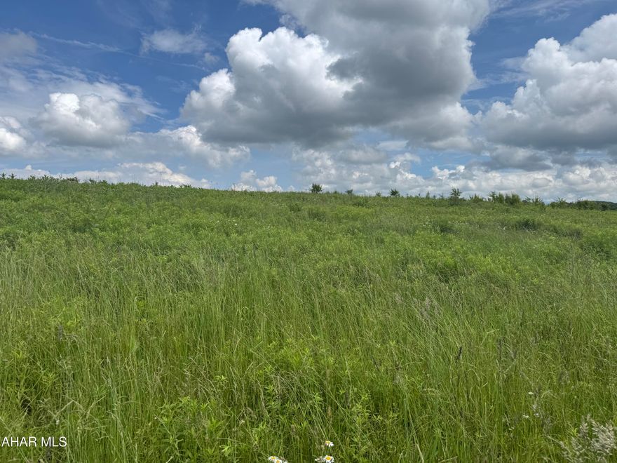 25 acres of mostly tillable land with short r/w off Beck Road between Loretto and Chest Springs. The land lays nice and would make an excellent home site. Nice country setting with a view.