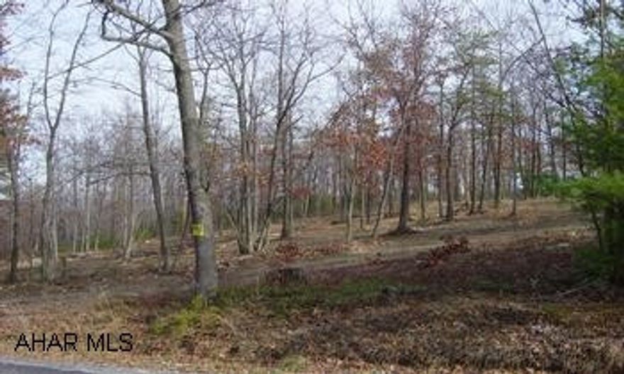 Beautiful building lot located in Huston Township.  Includes septic system.   Rte 22 in Frankstown (E of Hollidaysburg).  Turn on to Reservoir Rd across from Mielnick's Country Mkt.  Go over bridge; make immediate L on to Locke Mtn Rd.  Travel 4-5 miles (up & over mtn) to stop sign; turn R at stop sign onto Rte 866.  From Rte 866 make immediate L turn onto Royer Rd (watch for white church).  Travel approx 1.7 miles to stop sign.  Make left at stop sign to next stop sign; turn R on to Deafy Hill Rd; property is on left sign on property.