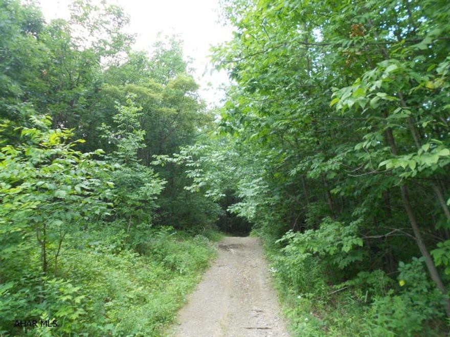 84 acre parcel. Buyer responsible for any road improvement. Timber select cut in 2000.  #J-245