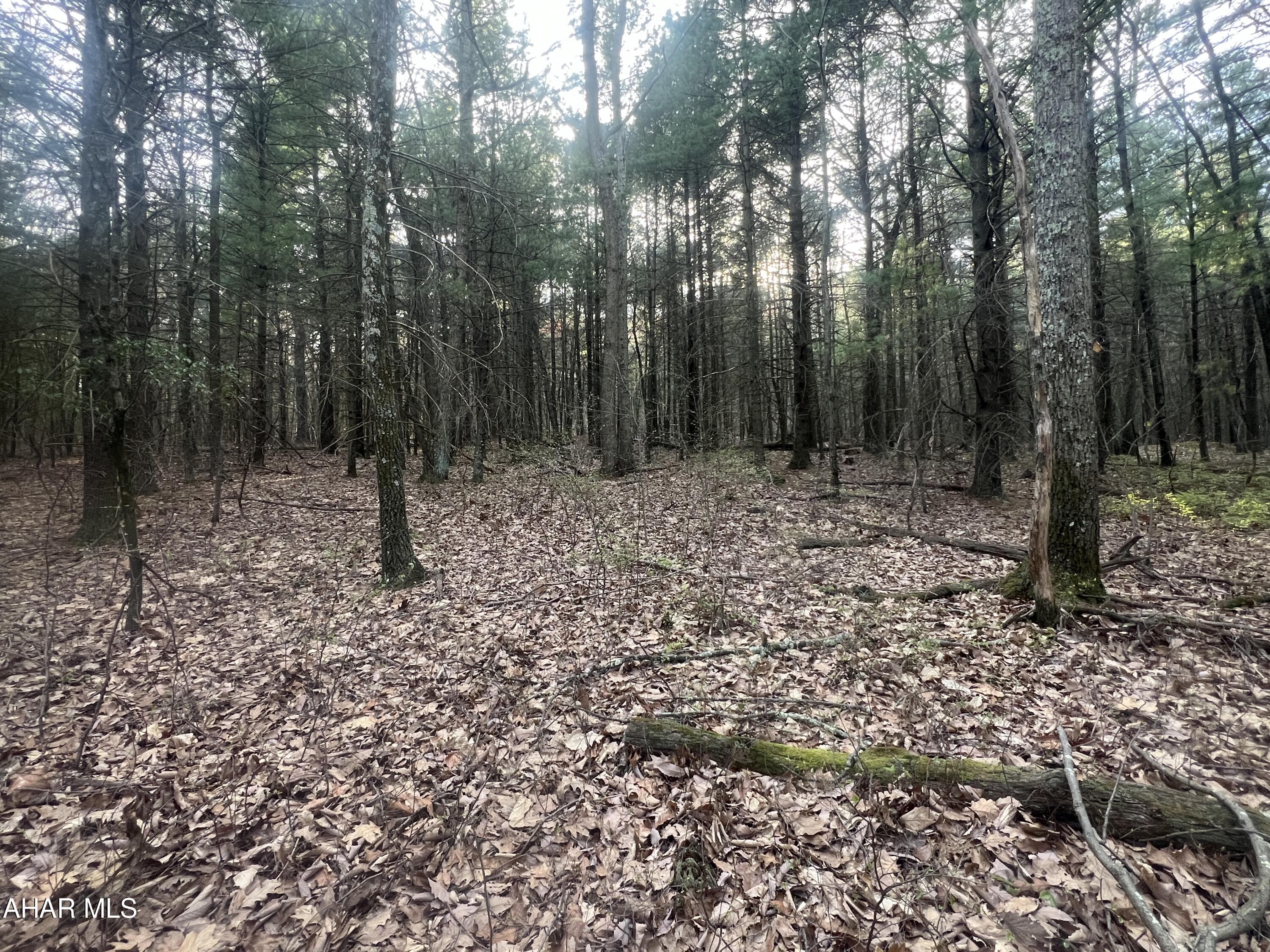 None - Commercial Sale