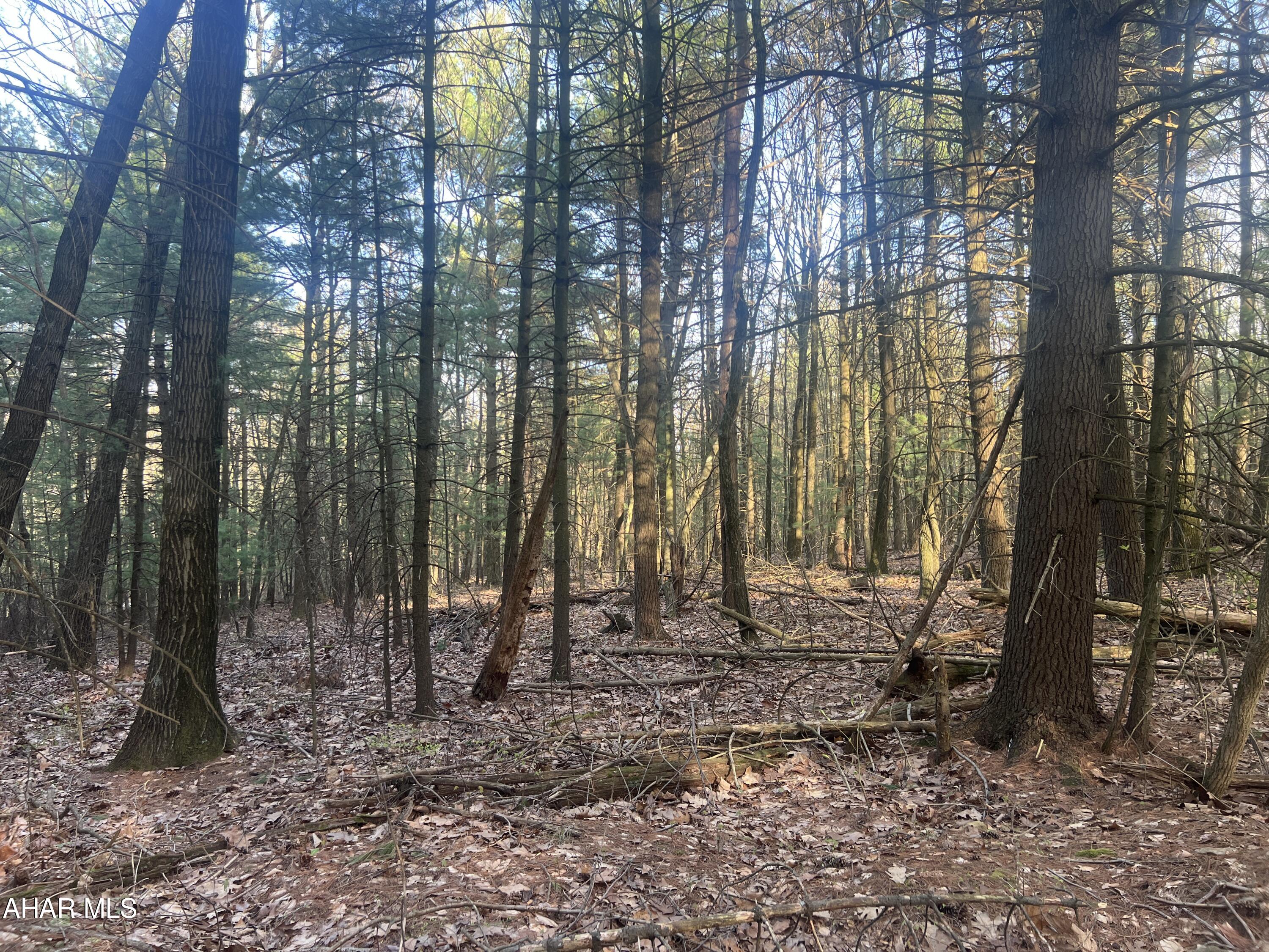 None - Commercial Sale