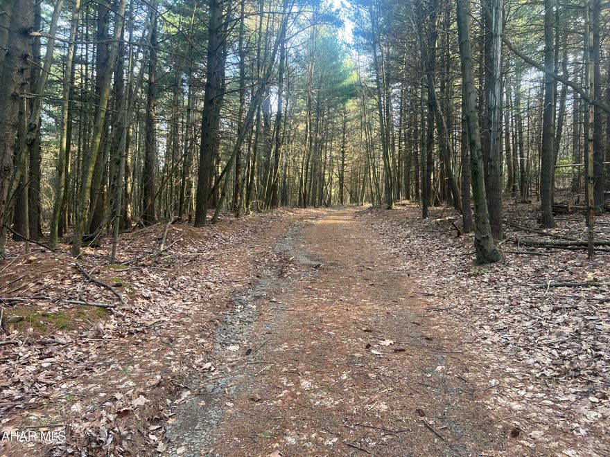Nice wooded parcel of land consisting of 6.99+/- acres bordering the Buchanan State Forest. Would make a nice location to build a getaway or hunting camp.