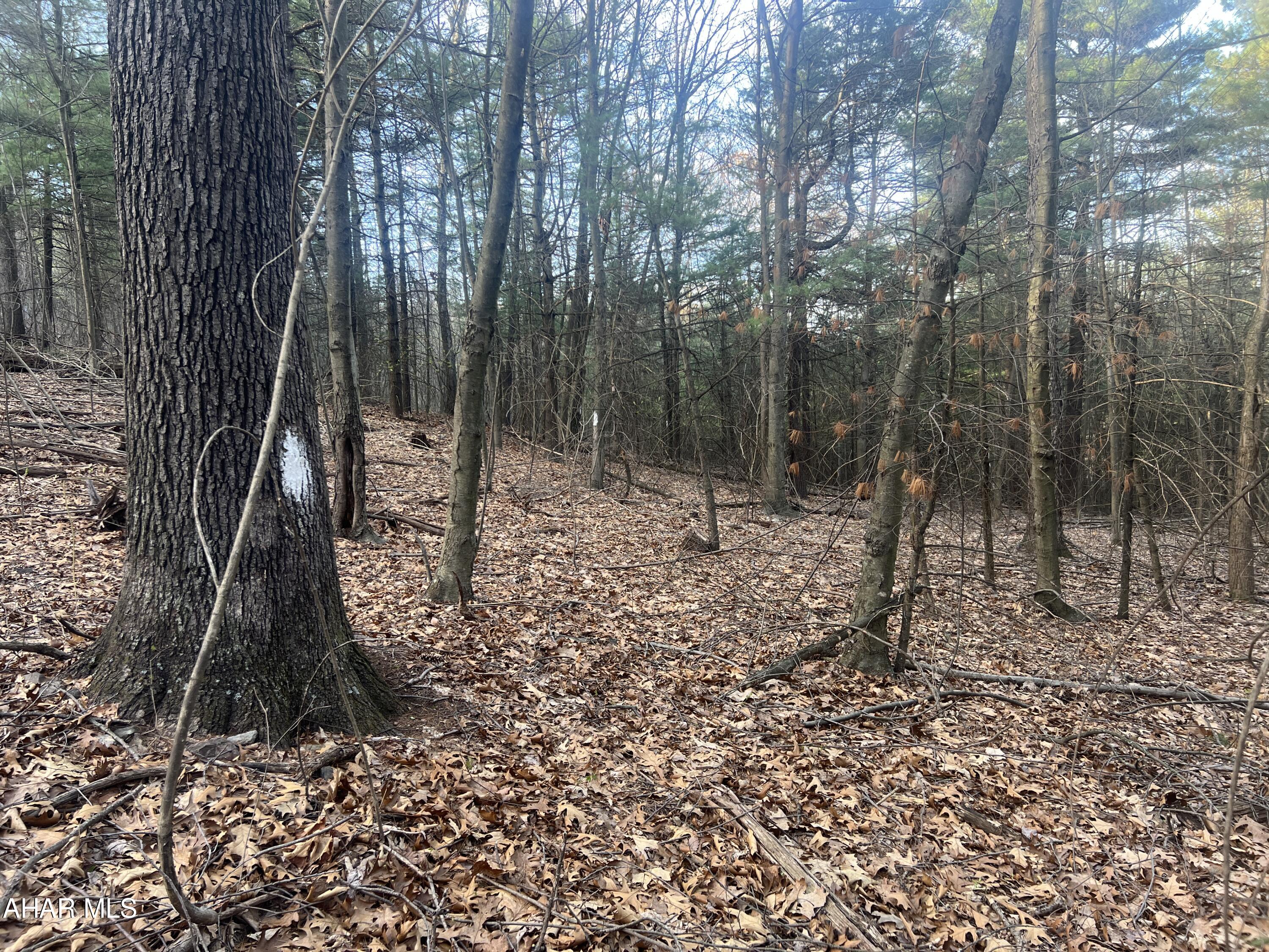 None - Commercial Sale