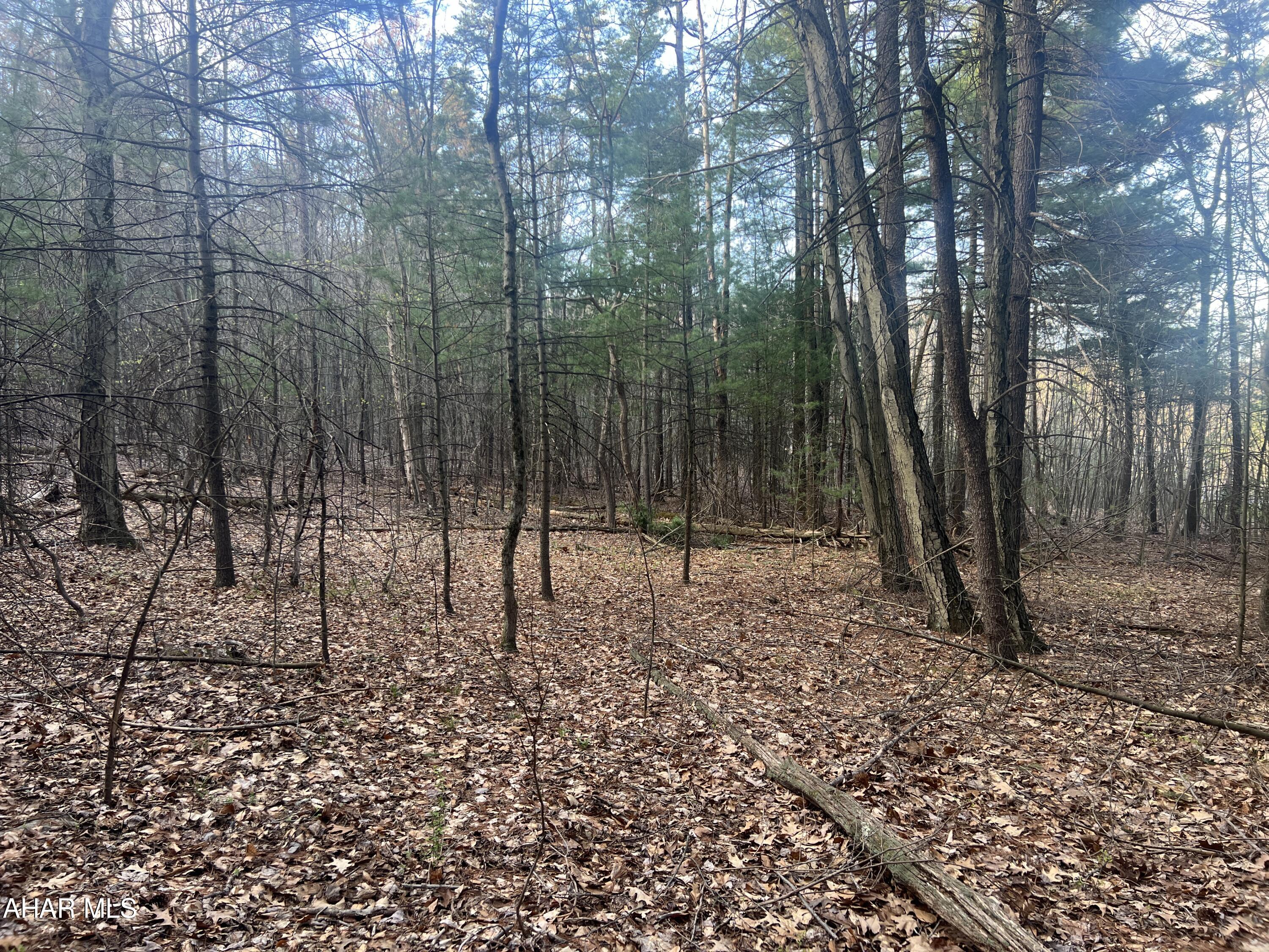 None - Commercial Sale