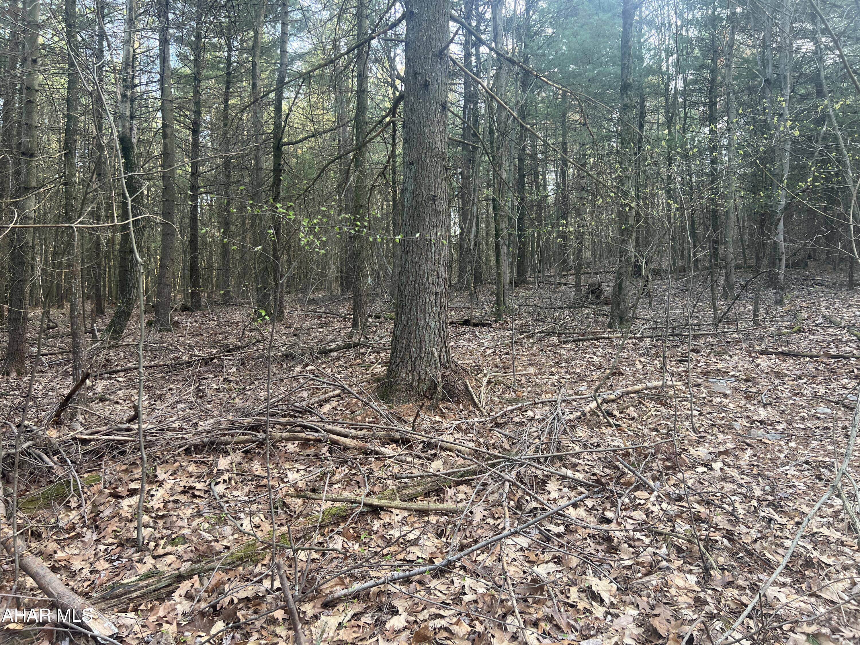 None - Commercial Sale