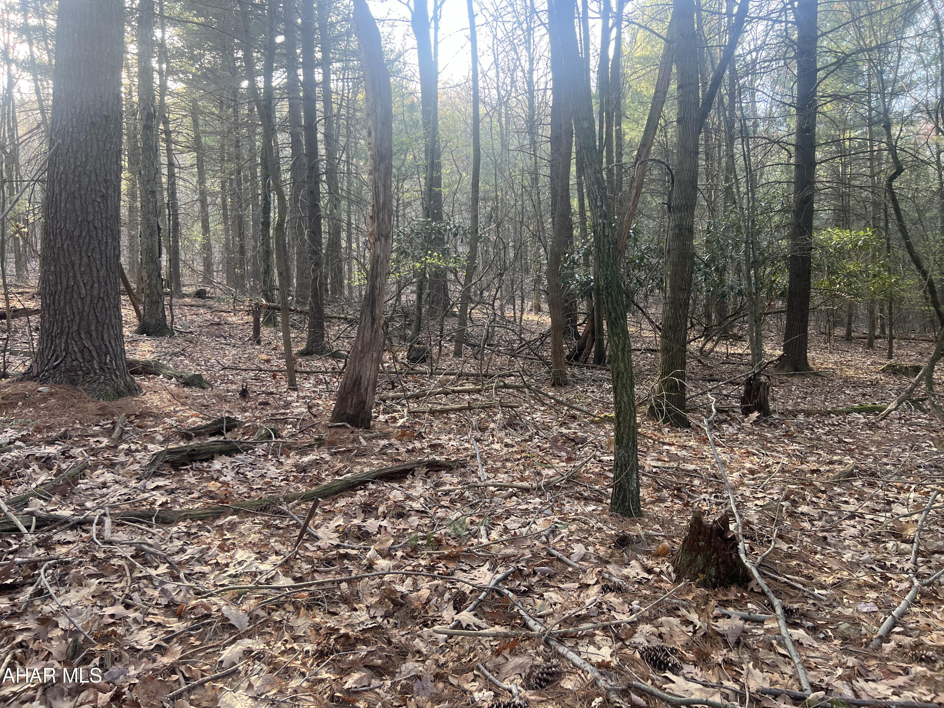 None - Commercial Sale