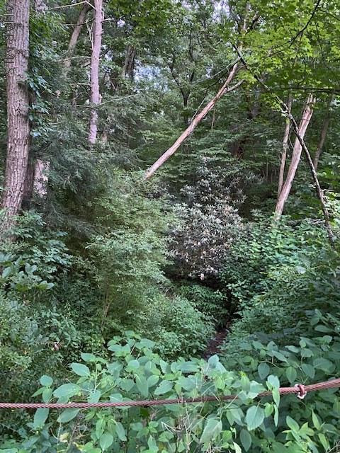 Cliffside Acres - Residential