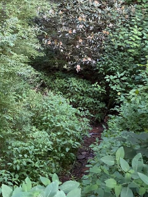 Cliffside Acres - Residential